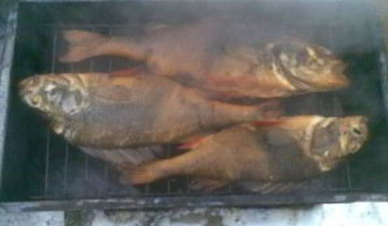 копченый окунь