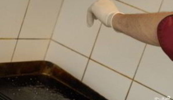 морской окунь в духовке