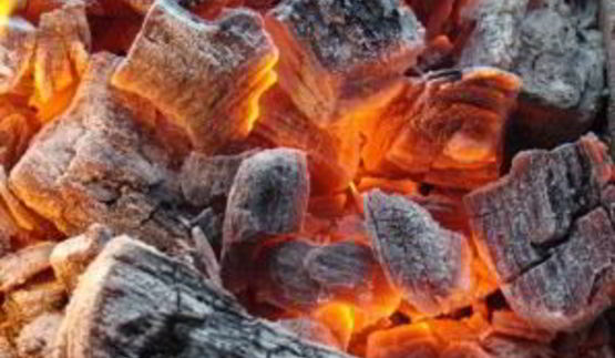 шашлык из форели на решетке