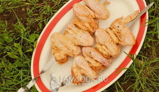 шашлык из куриных крылышек