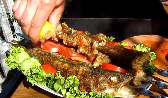 шашлык из судака