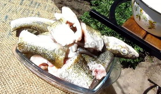 шашлык из судака