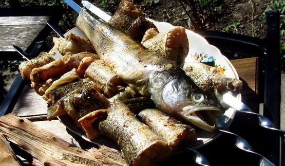 шашлык из судака