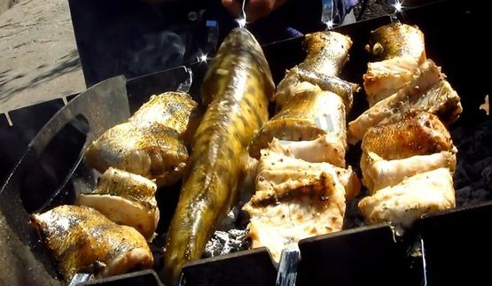 шашлык из судака