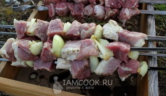 шашлык из свинины с луком в армянском маринаде