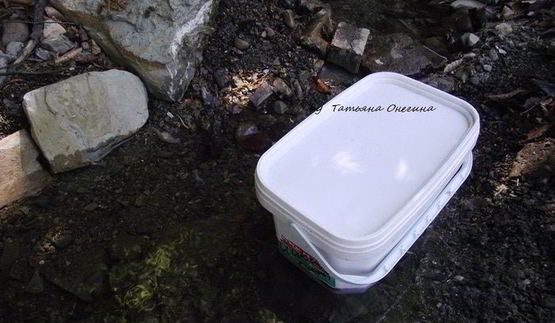 шашлык из свинины с водкой