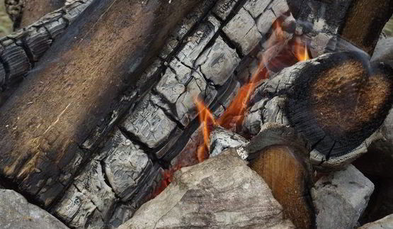 шашлык из свинины с водкой