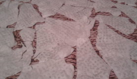 капустный шницель