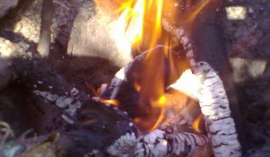 стейк по-карибски в маринаде с апельсинами и чили