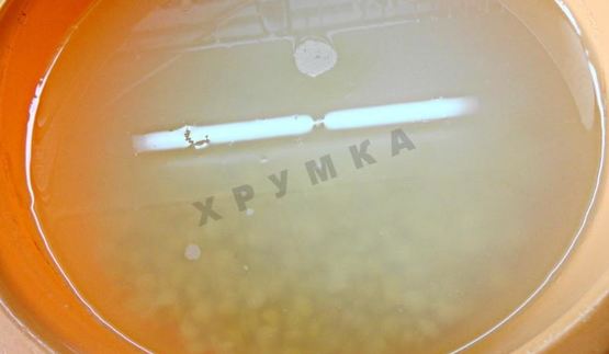 гороховая каша в мультиварке классическая