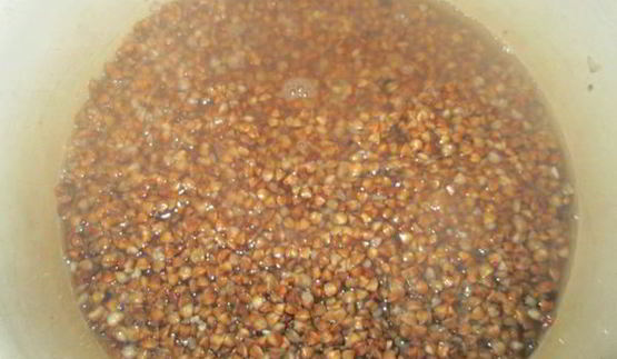 гречка с курицей под сметанно-грибным соусом