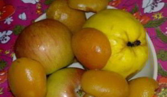 каша рисовая в духовке