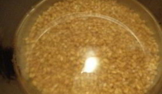 кутья с яблоками