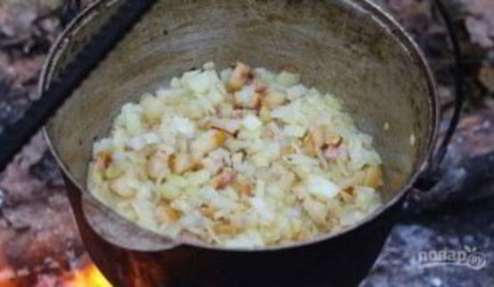 полевая каша