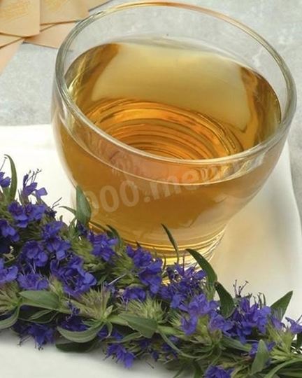 Рецепт чая с иссопом