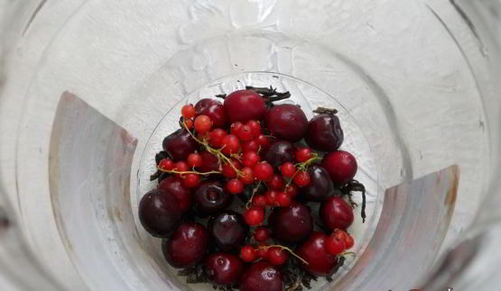 холодный зеленый чай с черешней, красной смородиной, корицей и мятой