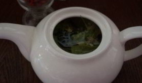 жиросжигающий чай