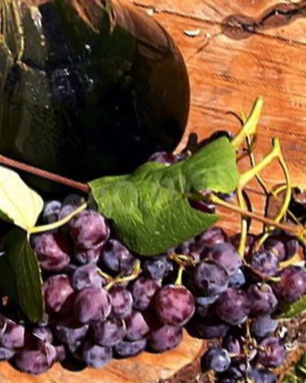 Рецепт домашнего вина из лидии