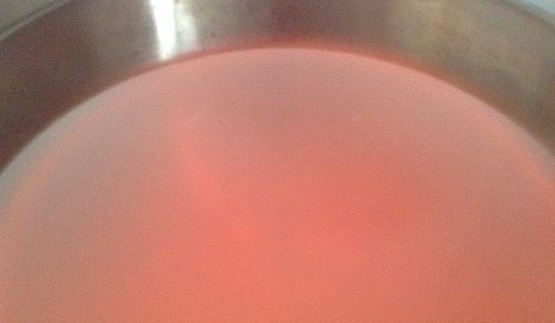 кисель из ревеня