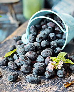 Кисель из жимолости