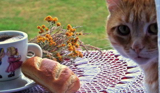 кофе с кунжутом