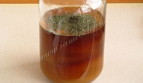 домашний квас из ржаного хлеба