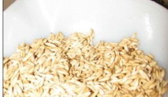 квас из овса