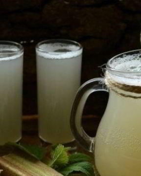 Квас из ревеня