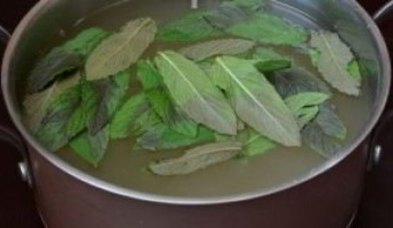 квас из ревеня