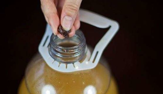 квас из ржаного хлеба