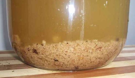 квас на хлебе