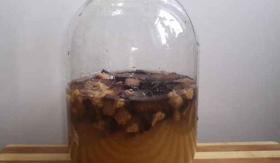 квас на хлебе