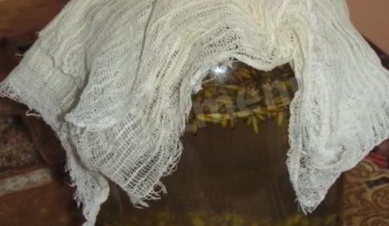 овсяный квас с изюмом