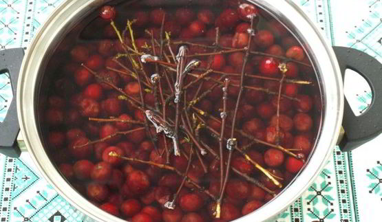 вишневый ликер