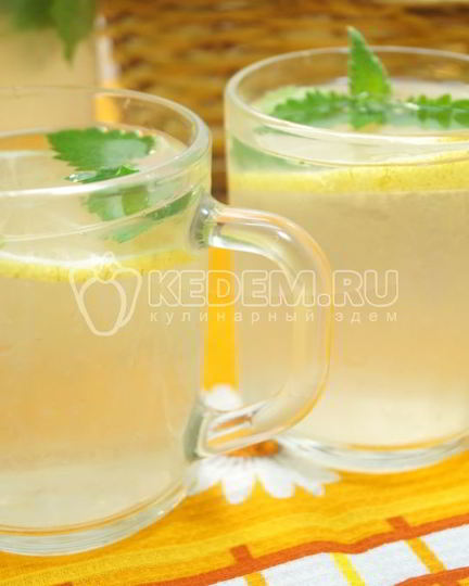 Рецепт лимонада из лимонов с мятой