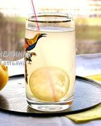 Лимонад на березовом соке