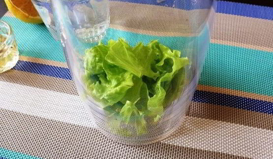 лимонад свежесть из листьев салата