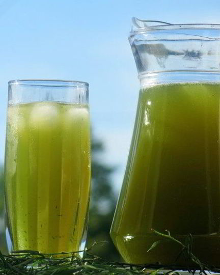 Рецепт лимонада тархун