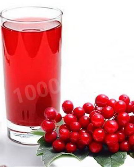 Рецепт морса из калины