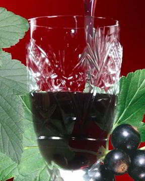 Наливка из черной смородины