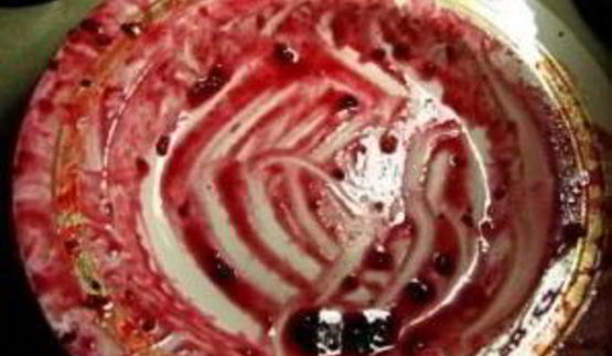 наливка из черной смородины