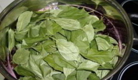 наливка из черноплодной рябины