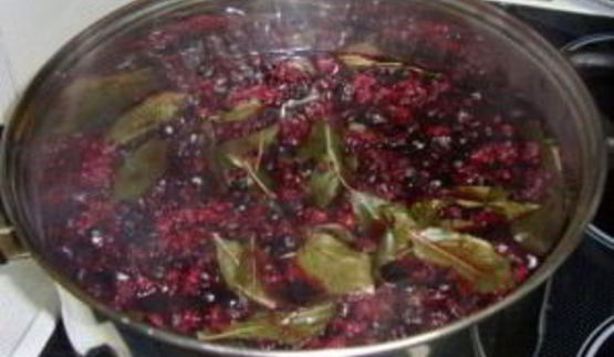 наливка из черноплодной рябины