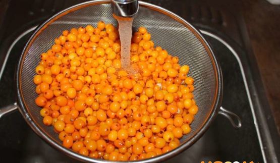 сироп из облепихи