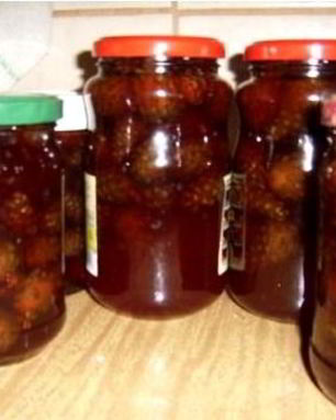 Сироп из сосновых шишек