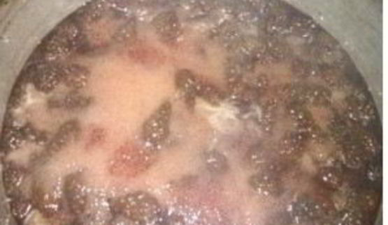 сироп из сосновых шишек