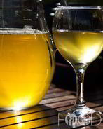 Вино из яблочного сока