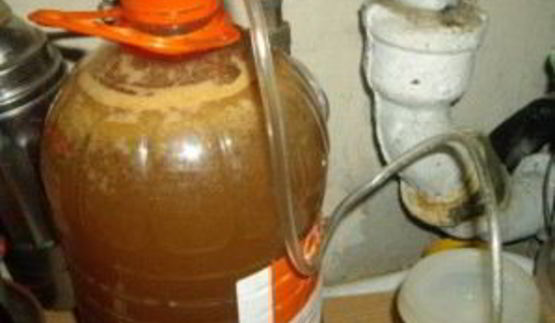 вино из яблок