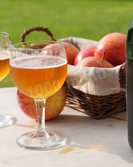 Рецепт вина сидр