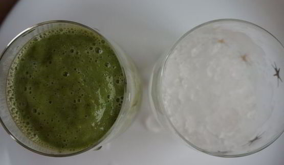 зеленый коктейль антиоксидант